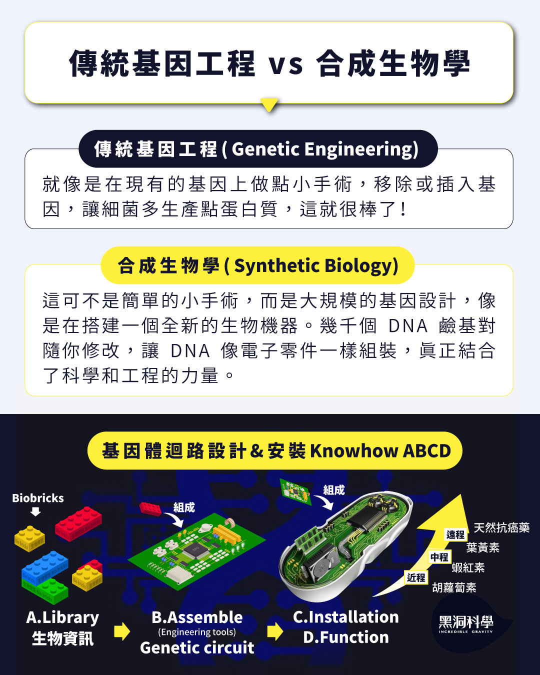 黑洞聊時事ep.03-【合成生物學】 - 黑洞科學教育